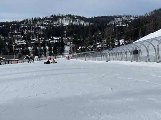 Whitefish Mountain Resort by null