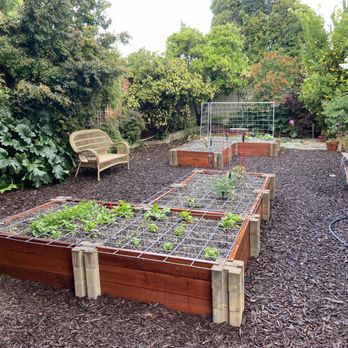 Noecon General Engineering Contractor - Growing a variety of vegetables in our new garden beds after the pool removal! - Demolition Services Near Me