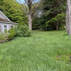 Northern Wolf Property Maintenance - Before (there's a bunch of branches in there)