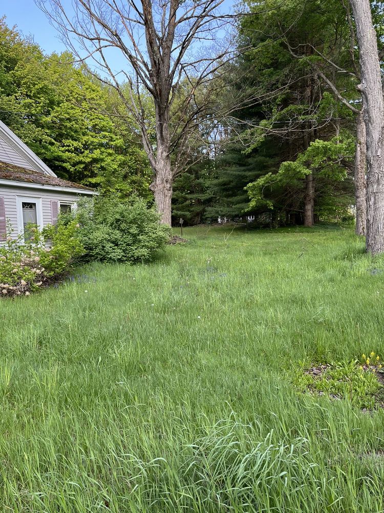 NORTHERN WOLF PROPERTY MAINTENANCE Updated September 2024 Central Square, New York Lawn