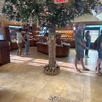 Breeze Bakery Cafe - Main lobby where all the goodie's are - Bakeries Near Me - Annandale, Virginia Breeze Bakery Cafe - Main lobby where all the goodie's are - Bakeries Near Me - Annandale, Virginia