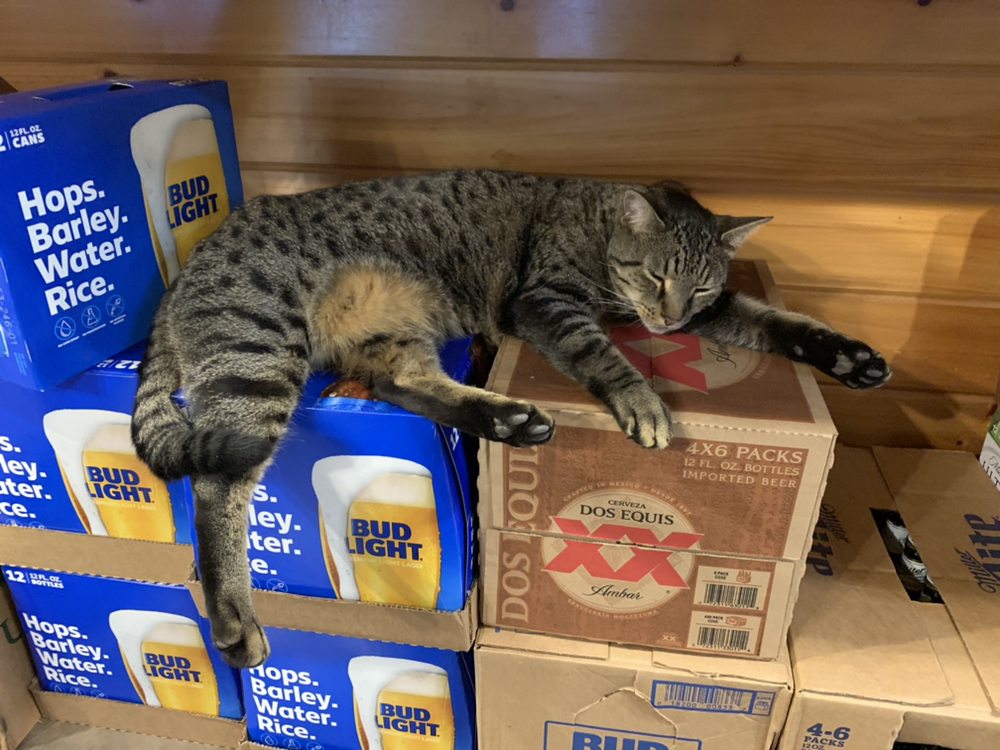 THE LIQUOR STATION Updated August 2024 16 Reviews 15 Oak Leaf Ln