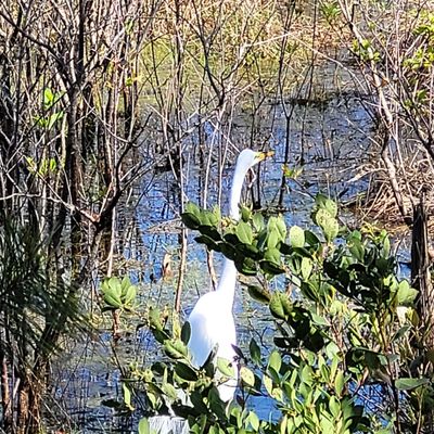 St. Andrews State Park by null