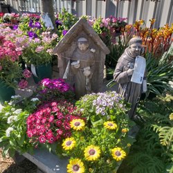Summerwinds Nursery Tatum 2019 All You Need To Know Summerwinds Nursery Tatum 2019 All You Need To Know