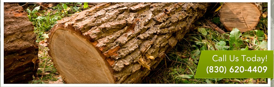 Kriewaldt Tree Care - tree service in New Braunfels, TX