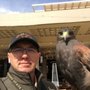 Blue Hawk Falconry