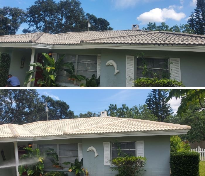 Slide of Tampa Bay Roof Cleaning