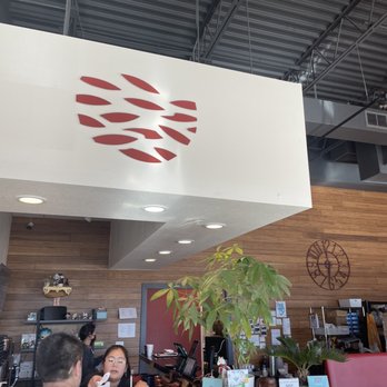 STICKY RICE - Updated July 2024 - 780 Photos & 636 Reviews - 223 E Fm ...