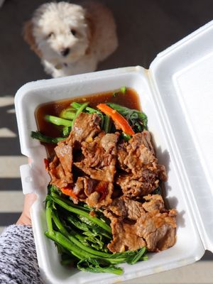 Bo Bo Garden Asian Cuisine by null