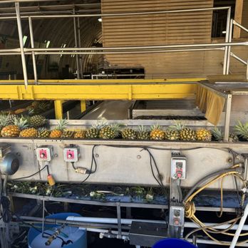 Maui Pineapple Tour - Tours Near Me - Makawao, Hawaii