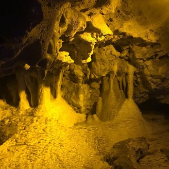 Florida Caverns State Park - Parks Near Me - Marianna, Florida