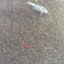 Oops, can't escape those darn Legos Oops, can't escape those darn Legos