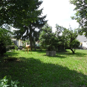 Tattersall Reitschule - Pets Near Me - Nuremberg, BY