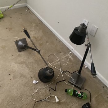 Jaguar Moving - Left lamps - Movers Near Me - Jacksonville, Florida