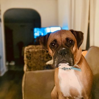 fixotic advance spray uses