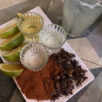 La Negrita Cantina - Mezcal flight - Dive Bars Near Me - Mérida, YUC La Negrita Cantina - Mezcal flight - Dive Bars Near Me - Mérida, YUC