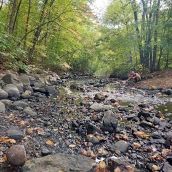 Nine Mile Creek Lower Valley Trail System