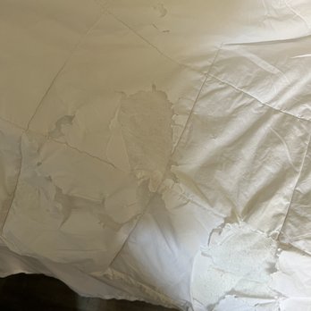 Quality Inn & Suites - Chewed up comforter - Hotels Near Me - Rockingham, North Carolina Quality Inn & Suites - Chewed up comforter - Hotels Near Me - Rockingham, North Carolina