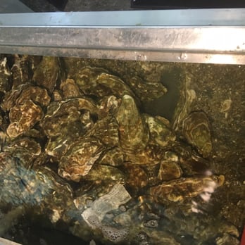 Uwajimaya - Live oysters- Uwajimaja - International Grocery Near Me - Beaverton, Oregon Uwajimaya - Live oysters- Uwajimaja - International Grocery Near Me - Beaverton, Oregon