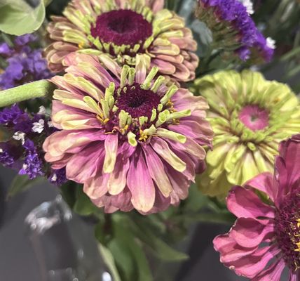 Oak Hill Farm by null