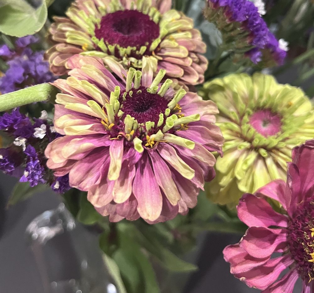 Oak Hill Farm - Photo 3