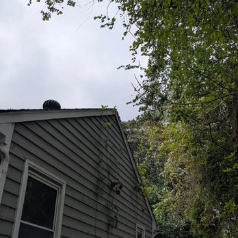 Tactical Timber Tippers Tree Service's - Tree Services Near Me Tactical Timber Tippers Tree Service's - Tree Services Near Me