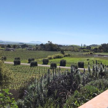 Gloria Ferrer Winery - View from our table on the patio - Wineries Near Me - Sonoma, California Gloria Ferrer Winery - View from our table on the patio - Wineries Near Me - Sonoma, California