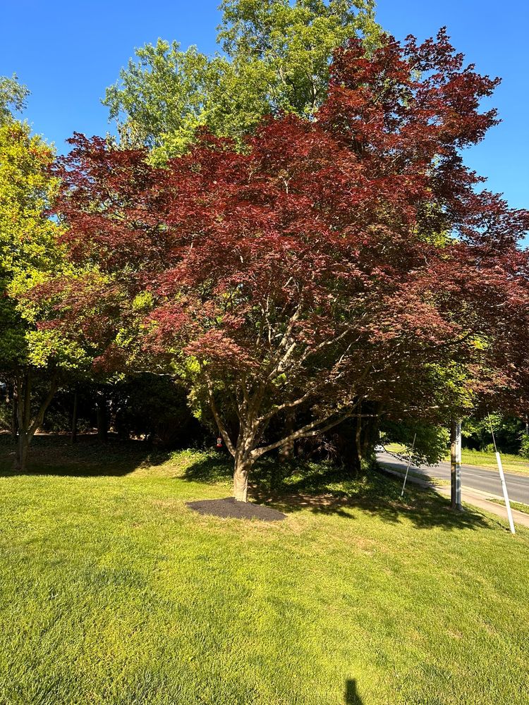 Slide of John’s Services