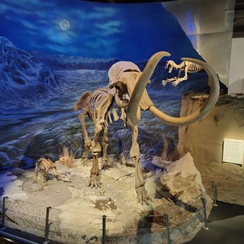 Royal Tyrrell Museum - Museums Near Me - Drumheller, Alberta Royal Tyrrell Museum - Museums Near Me - Drumheller, Alberta