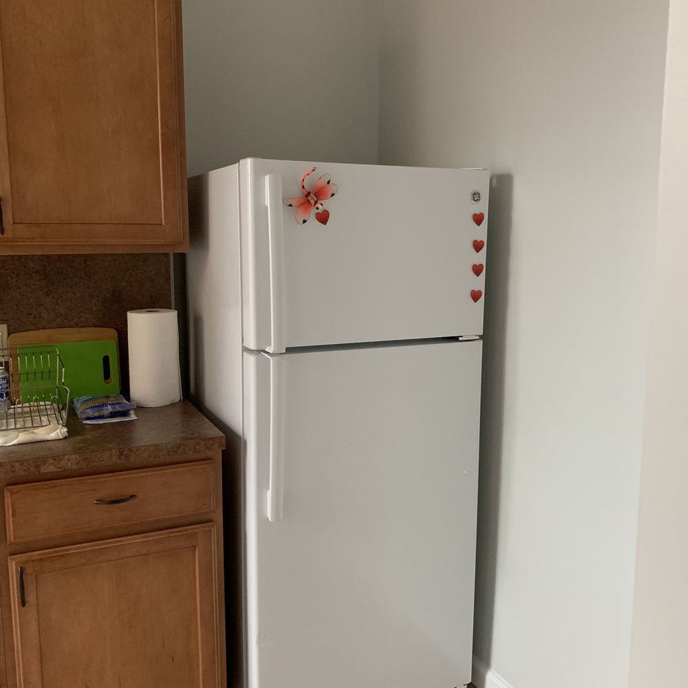 Fridge in my kitchen.