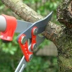 Askeland Tree Service and Landscaping