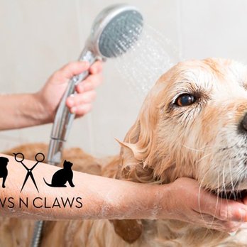 1. Paws N Claws Pet Parlor