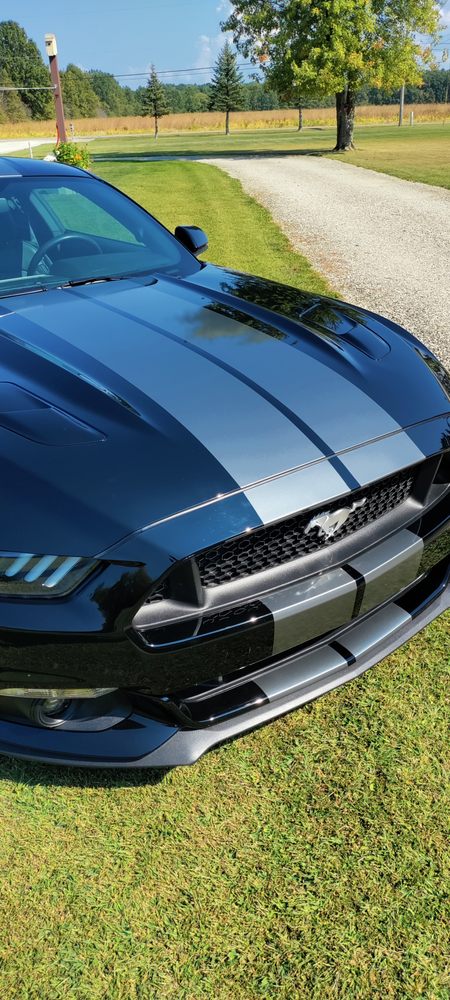 Aesthetic Finish and Film - veterans service organization in Middleburg Heights, OH