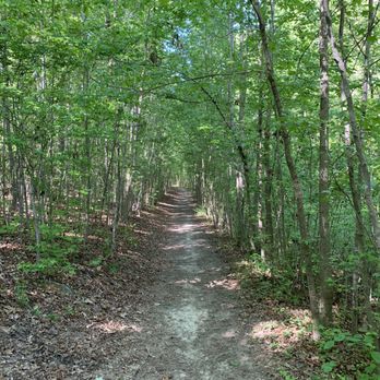 Colonel Francis Beatty Park - Trail in Spring. - Parks Near Me - Matthews, North Carolina