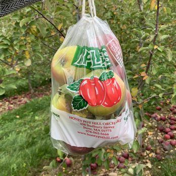Honey Pot Hill Orchards - 1/2 peck picking bag is a lot of apples! - Fruits & Veggies Near Me - Stow, Massachusetts Honey Pot Hill Orchards - 1/2 peck picking bag is a lot of apples! - Fruits & Veggies Near Me - Stow, Massachusetts
