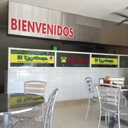 El Torthugo