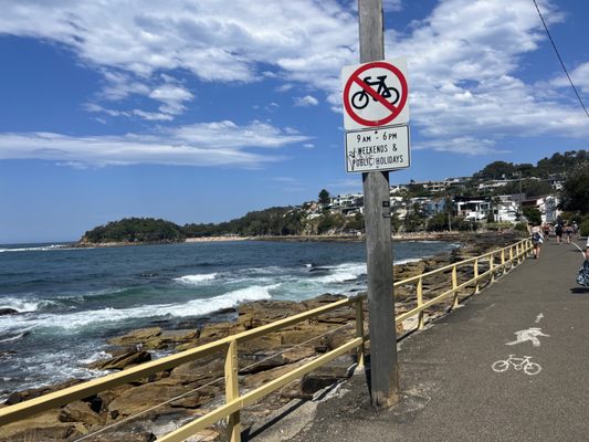 Shelly Beach by null