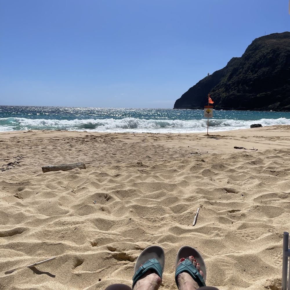 Enjoying the surf from a safe shady distance