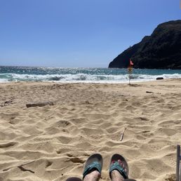 Enjoying the surf from a safe shady distance Enjoying the surf from a safe shady distance