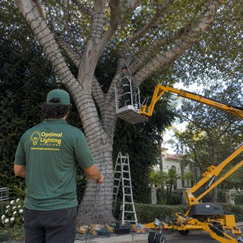 Optimal Lighting Solutions - Holiday Decorating Services Near Me - Huntington Beach, California Optimal Lighting Solutions - Holiday Decorating Services Near Me - Huntington Beach, California