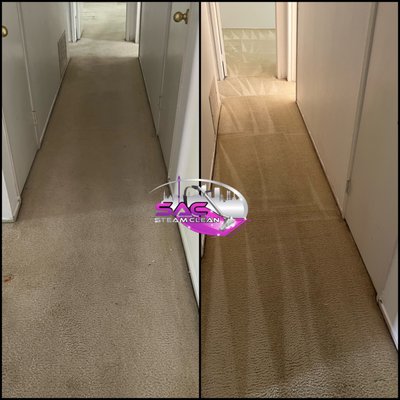 Carpet restoration cleaning services - Discover the transformation in our latest project! Before, the carpets faced heavy foot traffic and pet stains throughout the house. After our expert restoration and Stage 2 pet treatment, they look as good as new. Experience the exceptional results of our professional cleaning services. Carpet restoration cleaning services - Discover the transformation in our latest project! Before, the carpets faced heavy foot traffic and pet stains throughout the house. After our expert restoration and Stage 2 pet treatment, they look as good as new. Experience the exceptional results of our professional cleaning services.