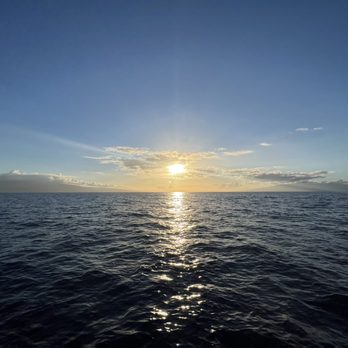 Sea Maui - What a view! - Boat Charters Near Me - Lahaina, Hawaii Sea Maui - What a view! - Boat Charters Near Me - Lahaina, Hawaii