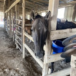 Heritage Hill Equestrian Center