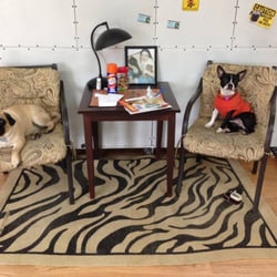 Honey B's Grooming & Boarding
