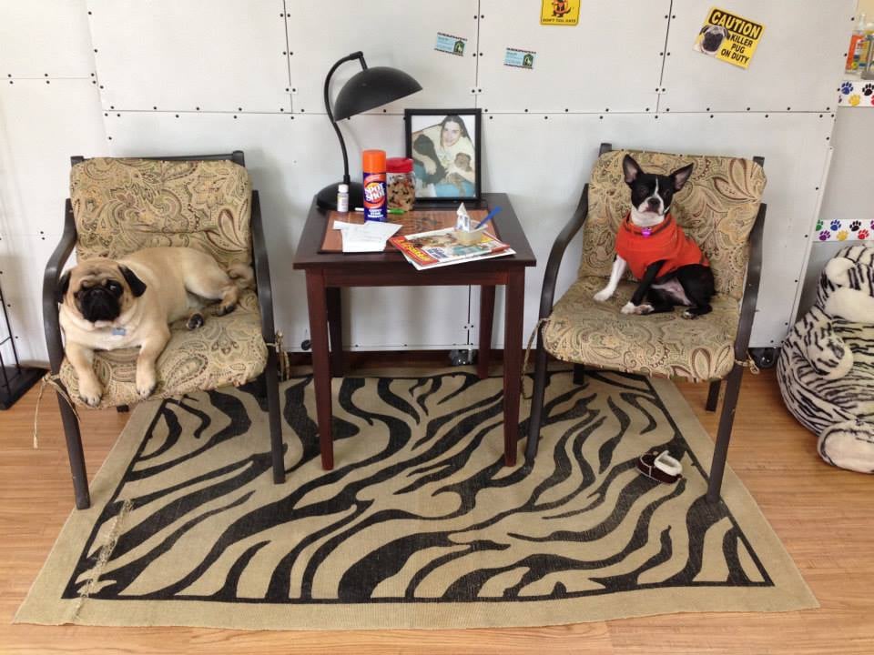 Honey B's Grooming & Boarding - pet boarding facility in Lee's Summit, MO