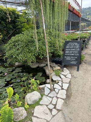 C & S Nursery by null