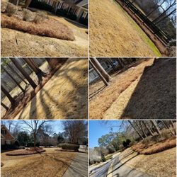 Evergreen Property Care - Pine Straw install