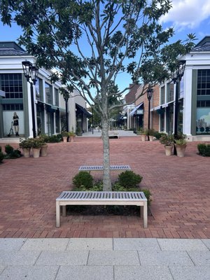 Belmont Park Village by null