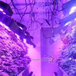 grow lights vancouver