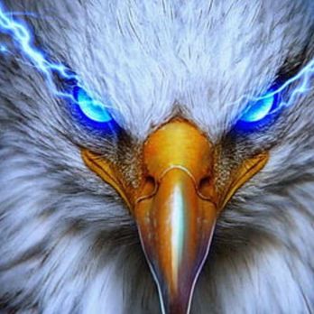 Somkit - a bald eagle with blue eyes - Thai Near Me - Dixon, Illinois